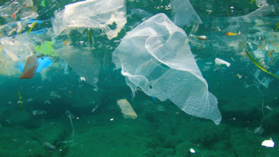 Under ytan i ett grönblått hav. Nära ytan är det fullt av gamla plastpåsar och annat skräp som flyter runt.