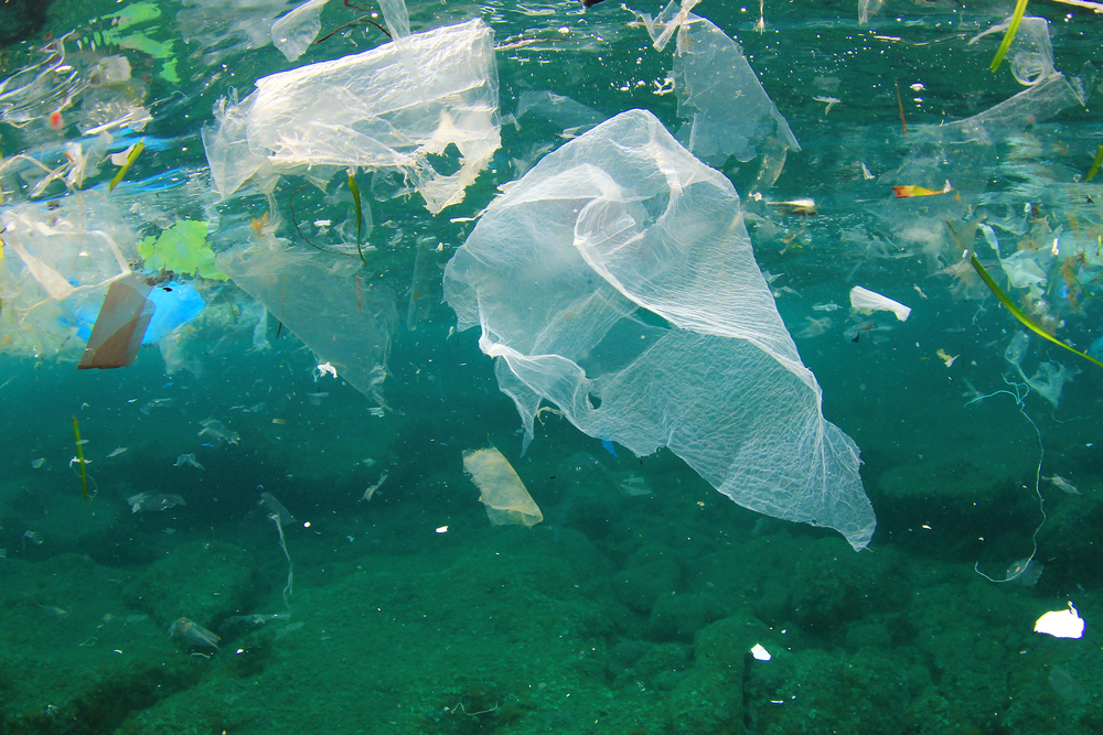 Under ytan i ett grönblått hav. Nära ytan är det fullt av gamla plastpåsar och annat skräp som flyter runt.