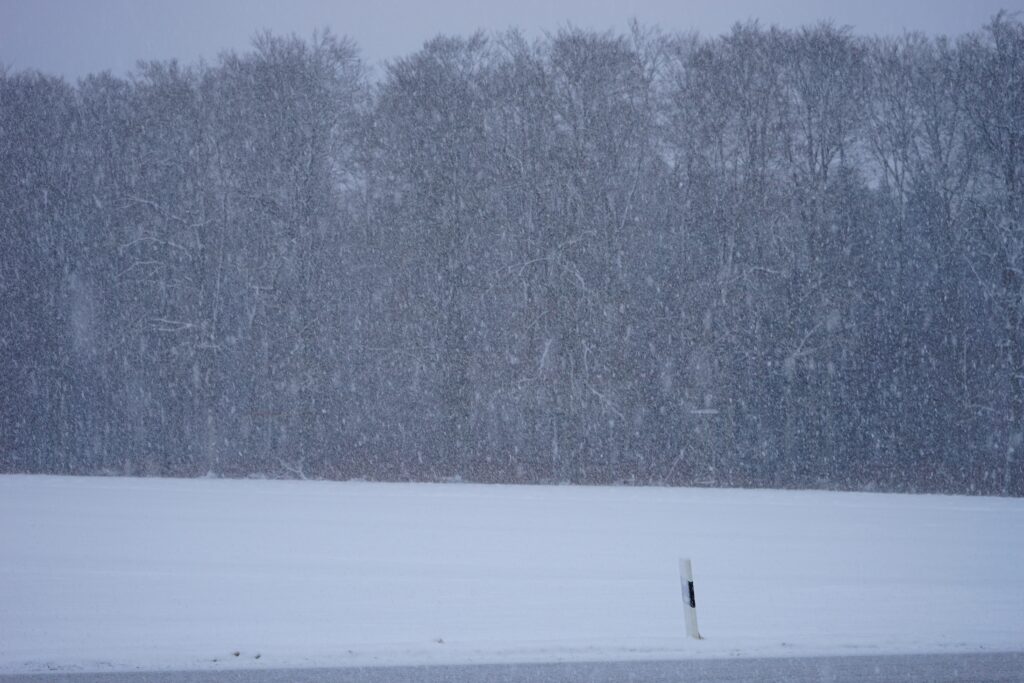 Snöstorm