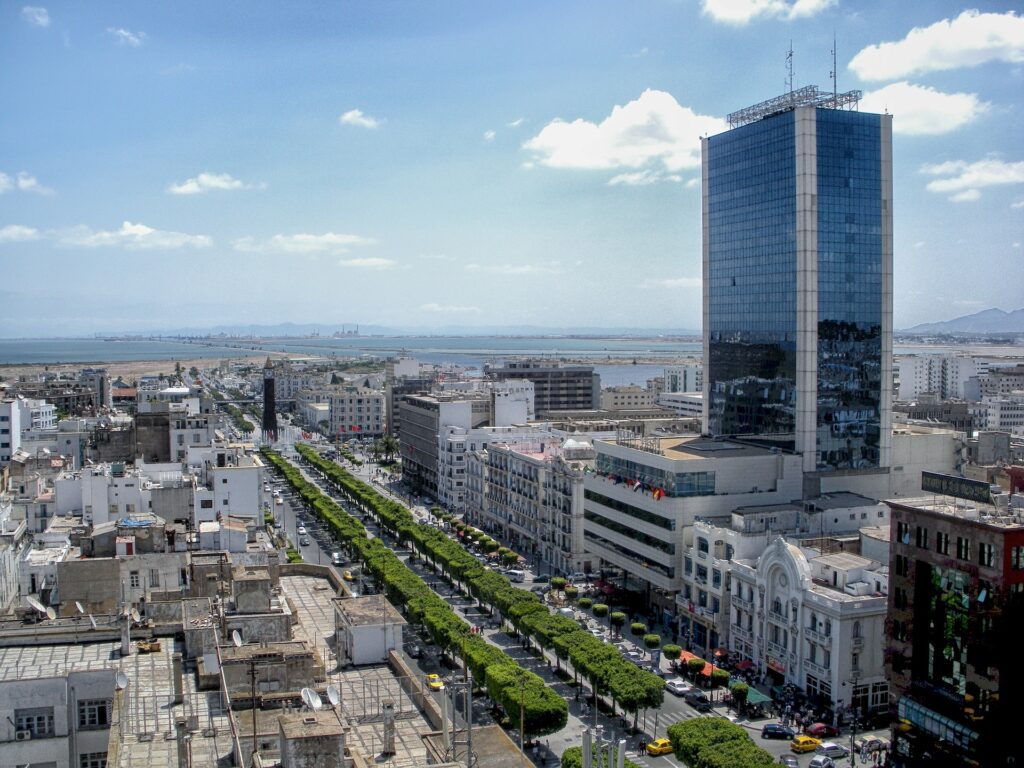 Tunisiens president har tvingat premiärministern att sluta.